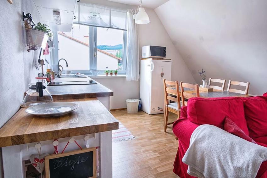 Apartman Destna Cp.1 Destne v Orlickych horach Exterior foto
